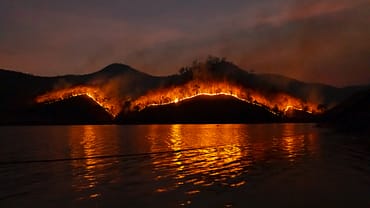 Το επίσημο πόρισμα του ΓΕΩΤΕΕ για τις δασικές πυρκαγιές του 2023 στον Έβρο